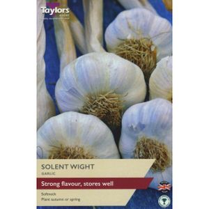 Taylors Garlic Solent Wight
