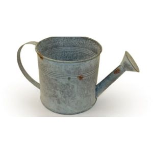 OBSL Chartwell Watering Can planter, 12cm