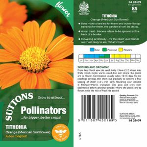 Suttons Tithonia Orange (mexican Sunflwr